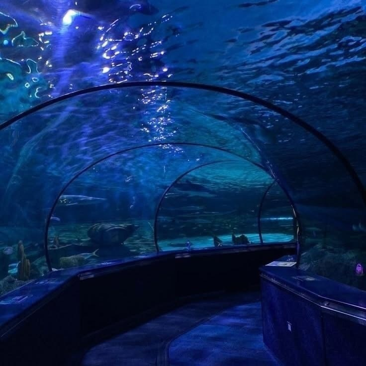 artindetails's tweet photo. — aquarium date https://t.co/lHj4iGF6yI