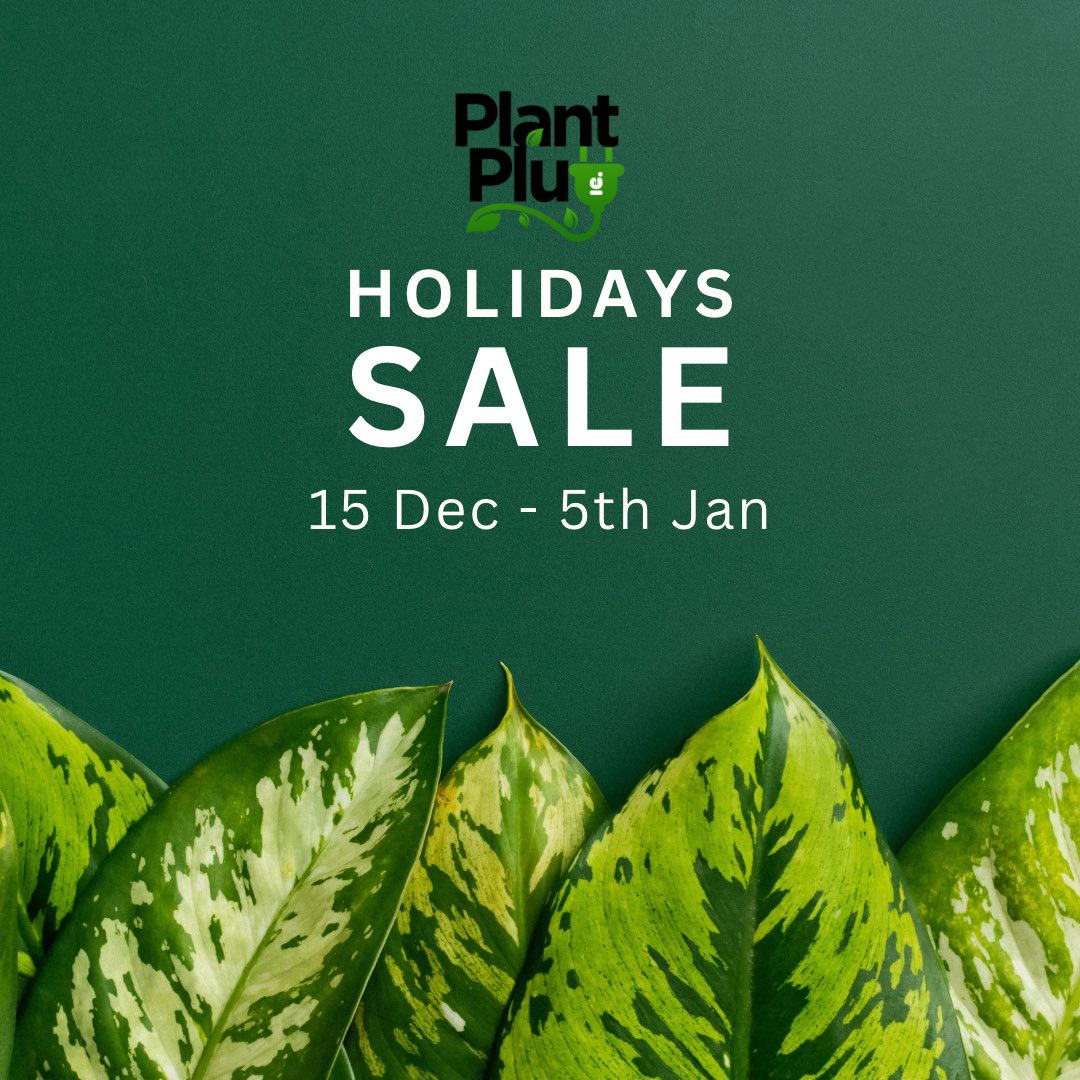 ThePlantPlugGH tweet media