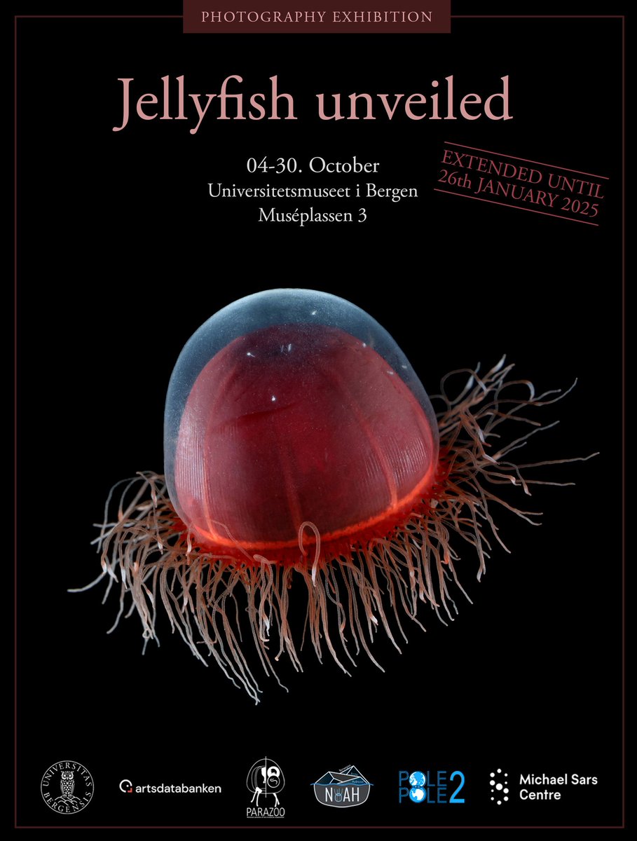 Joan J. Soto-Angel (@joanjsoto) on Twitter photo Happy to announce that our exhibition #JellyfishUnveiled🪼 has been extended until January 26th. The exhibit is a joint effort between the Manet Team at <a href="/UiB/">Universitetet i Bergen</a> & <a href="/MSarsCentre/">Michael Sars Centre</a>. Come and join us at the beautiful <a href="/UiB_museet/">Universitetsmuseet</a>. Funded by @Artsdatabanken, <a href="/MSCActions/">Marie Skłodowska-Curie Actions</a> & <a href="/MSarsCentre/">Michael Sars Centre</a>. Happy to announce that our exhibition #JellyfishUnveiled🪼 has been extended until January 26th. The exhibit is a joint effort between the Manet Team at <a href="/UiB/">Universitetet i Bergen</a> & <a href="/MSarsCentre/">Michael Sars Centre</a>. Come and join us at the beautiful <a href="/UiB_museet/">Universitetsmuseet</a>. Funded by @Artsdatabanken, <a href="/MSCActions/">Marie Skłodowska-Curie Actions</a> & <a href="/MSarsCentre/">Michael Sars Centre</a>.
