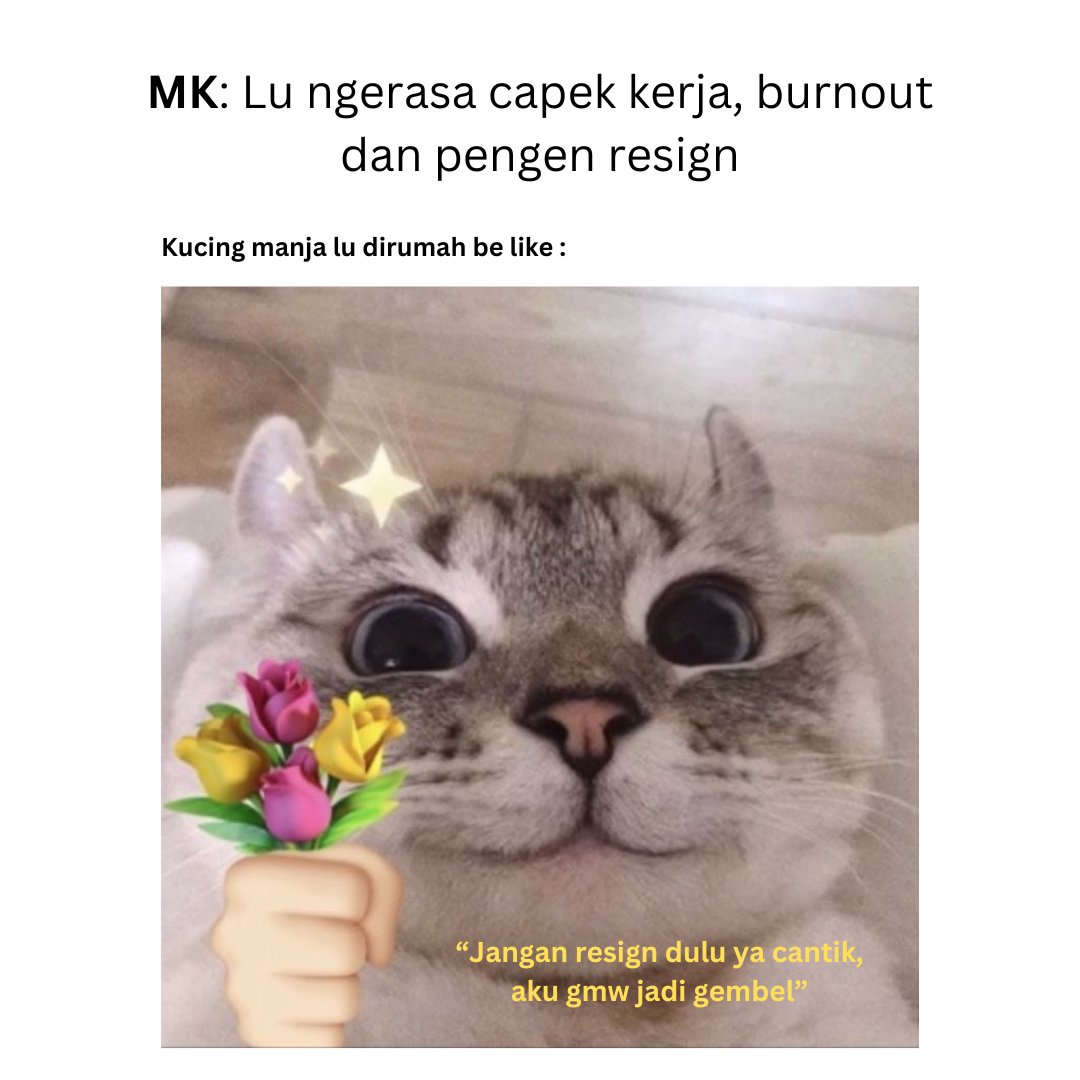 JobStreetcom's tweet photo. Catlovers be like : "Apapun akan kulakukan untuk menafkahimu!" https://t.co/T0XI55cTUo