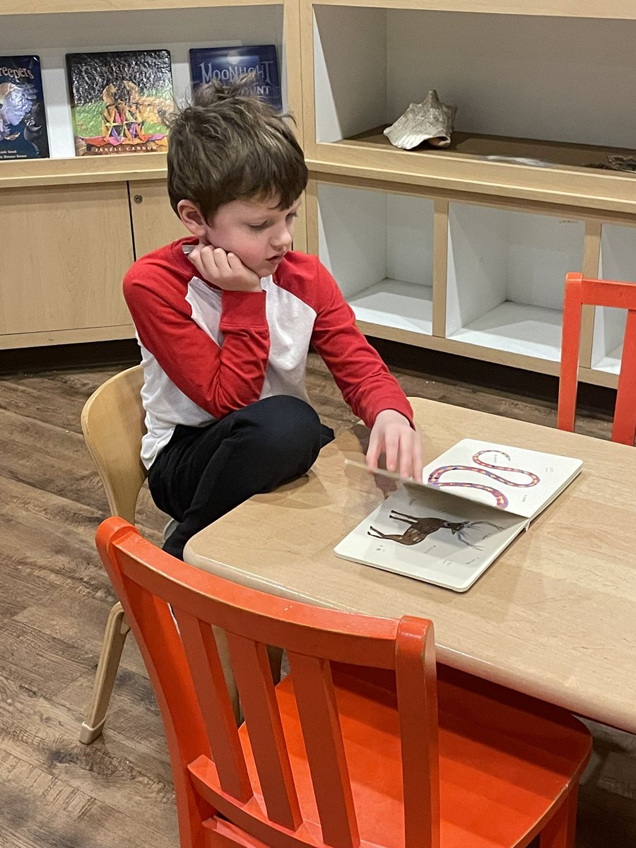 Stephanie Harrison tweet media