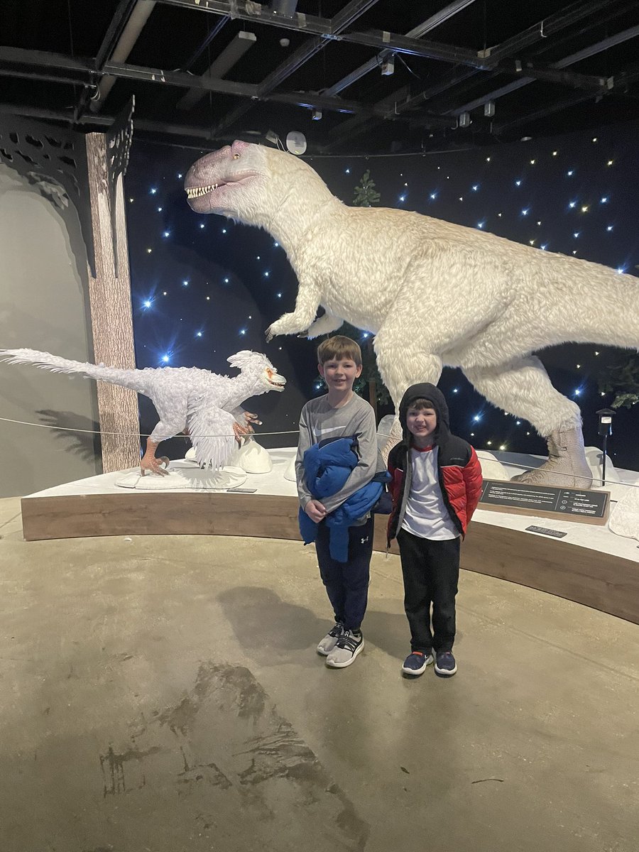 Stephanie Harrison tweet media