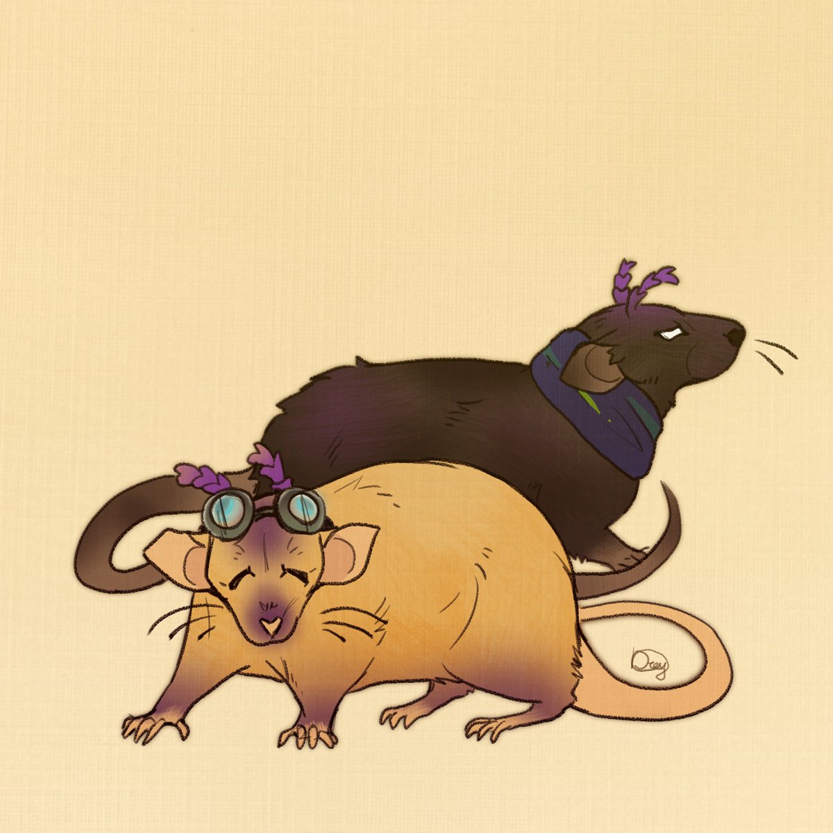 LDragonrey's tweet image. Lux and Nox  — Dumbo Rats (they're so smart and cute)
#contentsmp #luxintrus #noxintrus