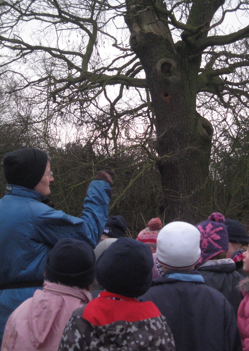 RoslistonEnvEd's tweet image. Schools & Home Educated families-Book your 2025 sessions with the Education team at Rosliston Forestry Centre now. We have some fabulous Winter sessions to choose from or see what we have to offer for Spring/Summer: roslistonforestrycentre.co.uk