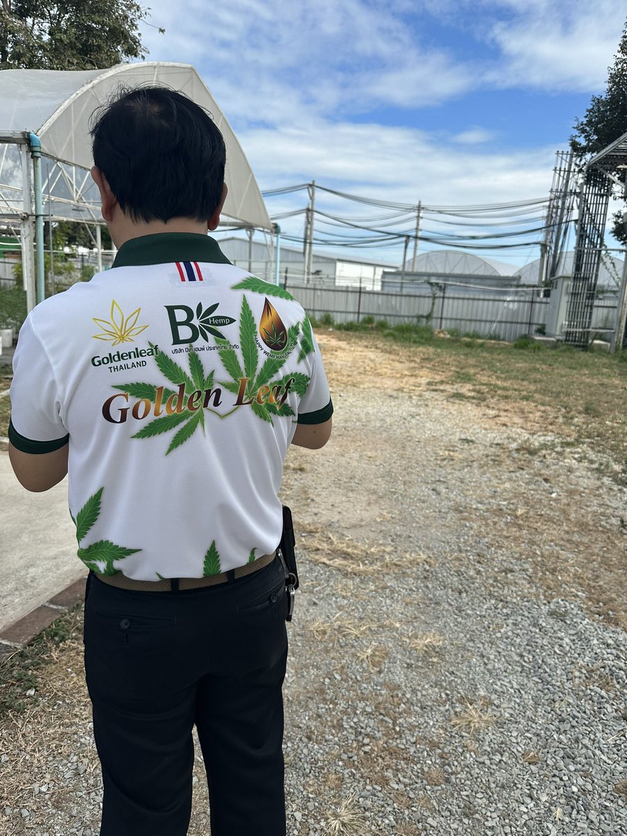 Midorihouse420's tweet photo. 新たな計画😎
さらに拡大し医療用大麻輸出🌈🌈🤙🏻
次は50キロ生産量を目指す🍀🍀
#Midorihouse
#Gapstandard https://t.co/RgCWB1ArZu