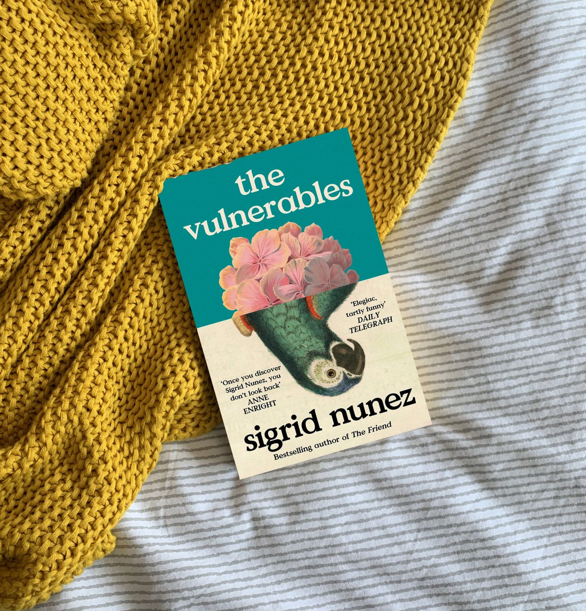 ViragoBooks's tweet photo. Delighted to see The Vulnerables by Sigrid Nunez on the Indepedent's round-up of twenty best books of 2024. 

Explore the list: https://t.co/9SCjFHdZhS
#SigridNunez #TheVulnerables #BestBooksof2024 https://t.co/9ObhB2r6lU