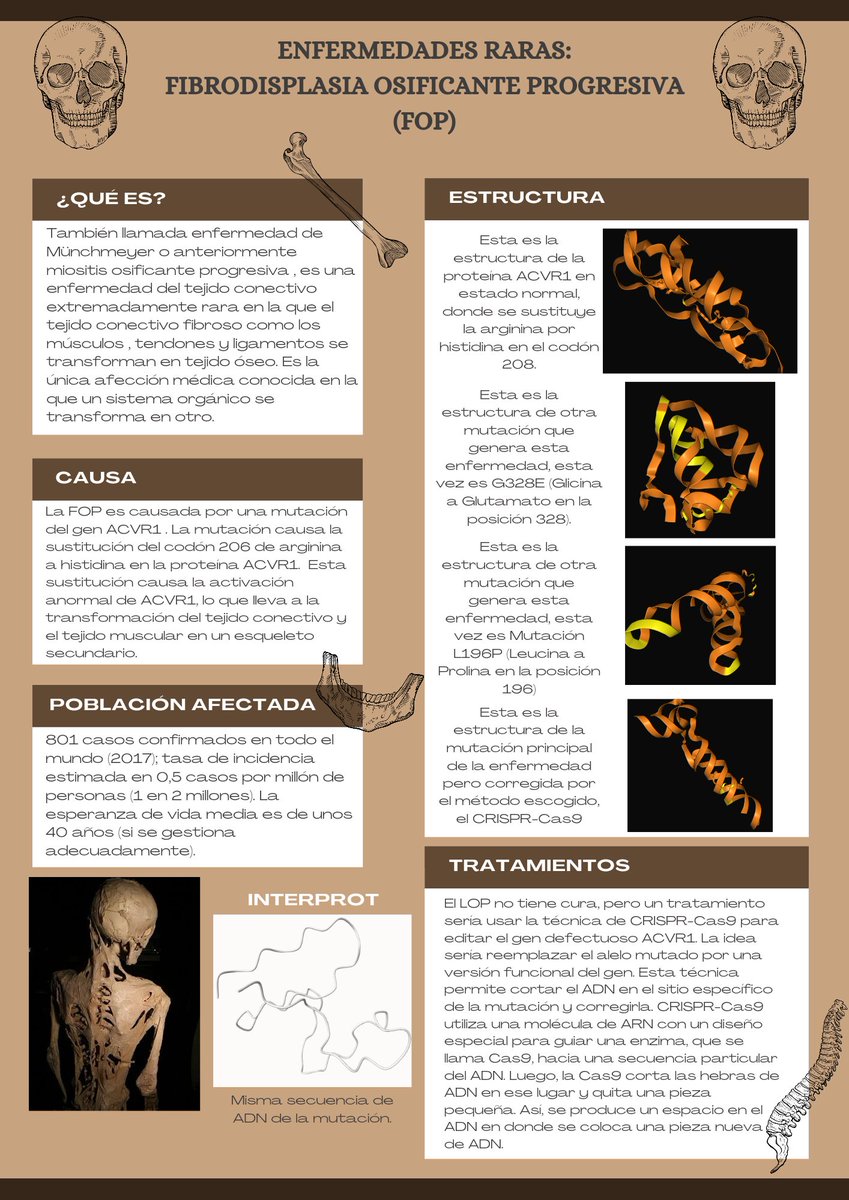 AulasInteligent's tweet image. Detalles de algunas infografías realizadas por alumnado usando diferentes herramientas de IA como #AlphaFold3 #interprot o #exa en el proyecto que ya comentamos. Las imprimiremos y haremos un mural interactivo para celebrar el #DíadelasEnfermedadesRaras, el próximo 28 de febrero.