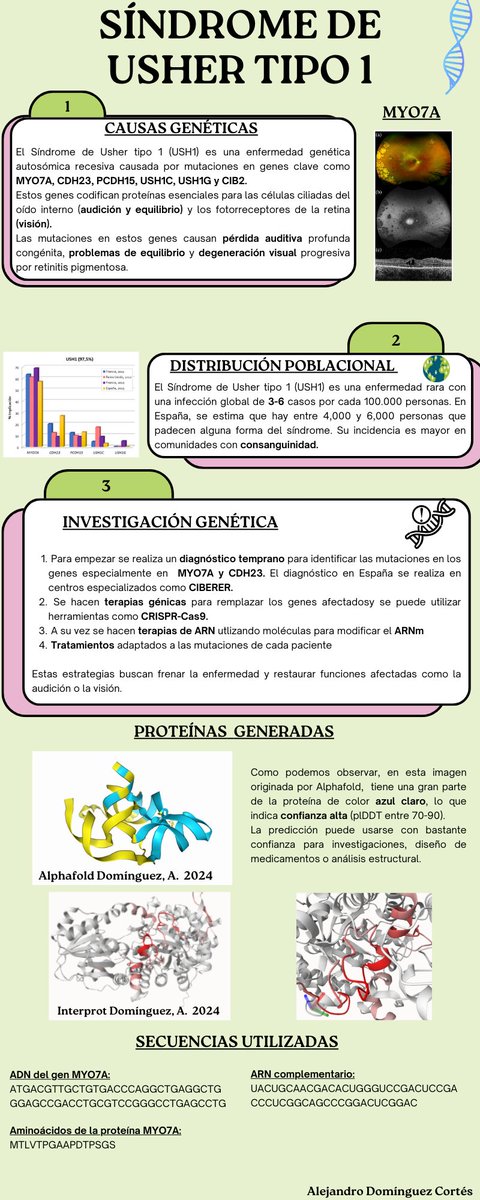 AulasInteligent's tweet image. Detalles de algunas infografías realizadas por alumnado usando diferentes herramientas de IA como #AlphaFold3 #interprot o #exa en el proyecto que ya comentamos. Las imprimiremos y haremos un mural interactivo para celebrar el #DíadelasEnfermedadesRaras, el próximo 28 de febrero.