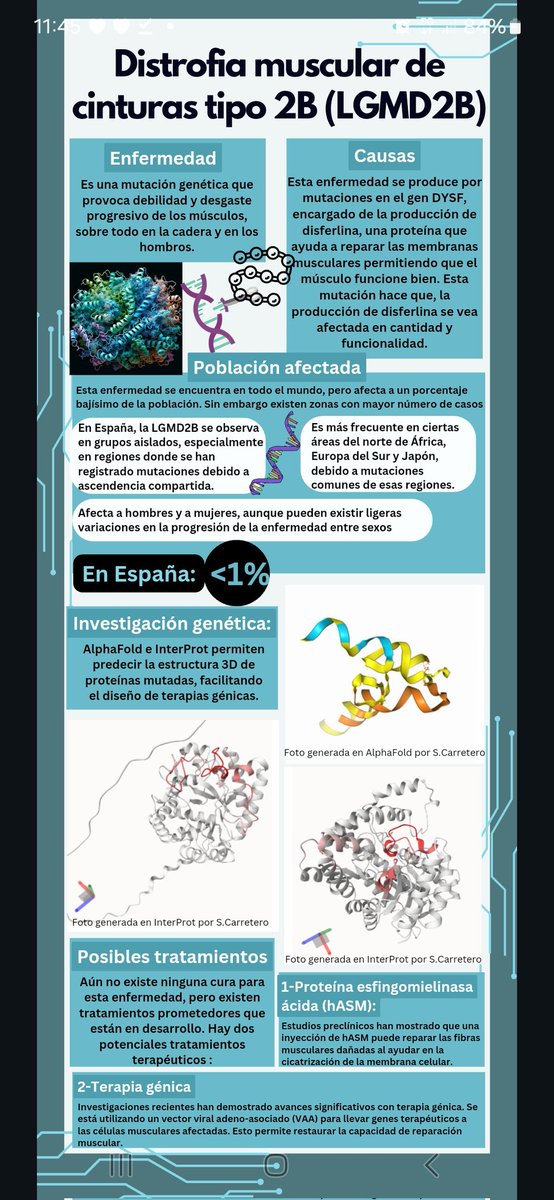 AulasInteligent's tweet image. Detalles de algunas infografías realizadas por alumnado usando diferentes herramientas de IA como #AlphaFold3 #interprot o #exa en el proyecto que ya comentamos. Las imprimiremos y haremos un mural interactivo para celebrar el #DíadelasEnfermedadesRaras, el próximo 28 de febrero.