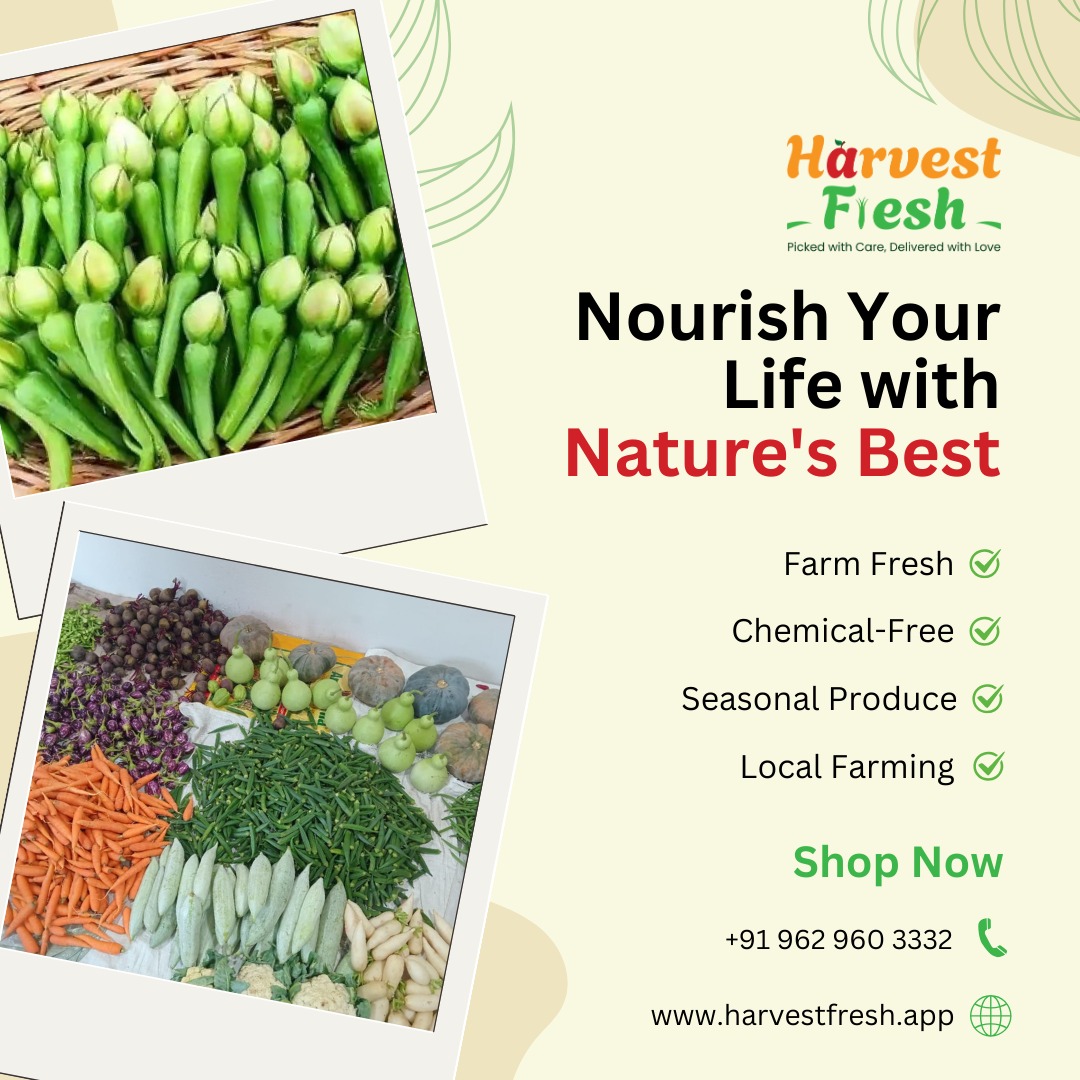 HarvestFresh2dg's tweet photo. Fresh from the farm, to your table. Taste the goodness of nature! 🌿 #EatLocal #HealthyLiving #FarmFreshFriday https://t.co/42UjLR6gjO