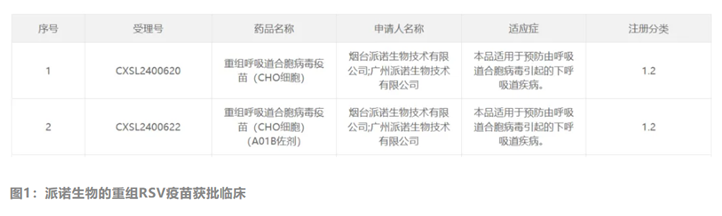 theimpactbridge's tweet photo. ➡️Guangzhou Patronus Biotech has obtained approval to conduct clinical trials in China for its recombinant RSV vaccine, LYB005, which previously began Phase I trials in Australia in July.
➡️TheraVac launched Phase I trials of its recombinant #shingles vaccine (CHO cell). https://t.co/0LOGoTf2pv