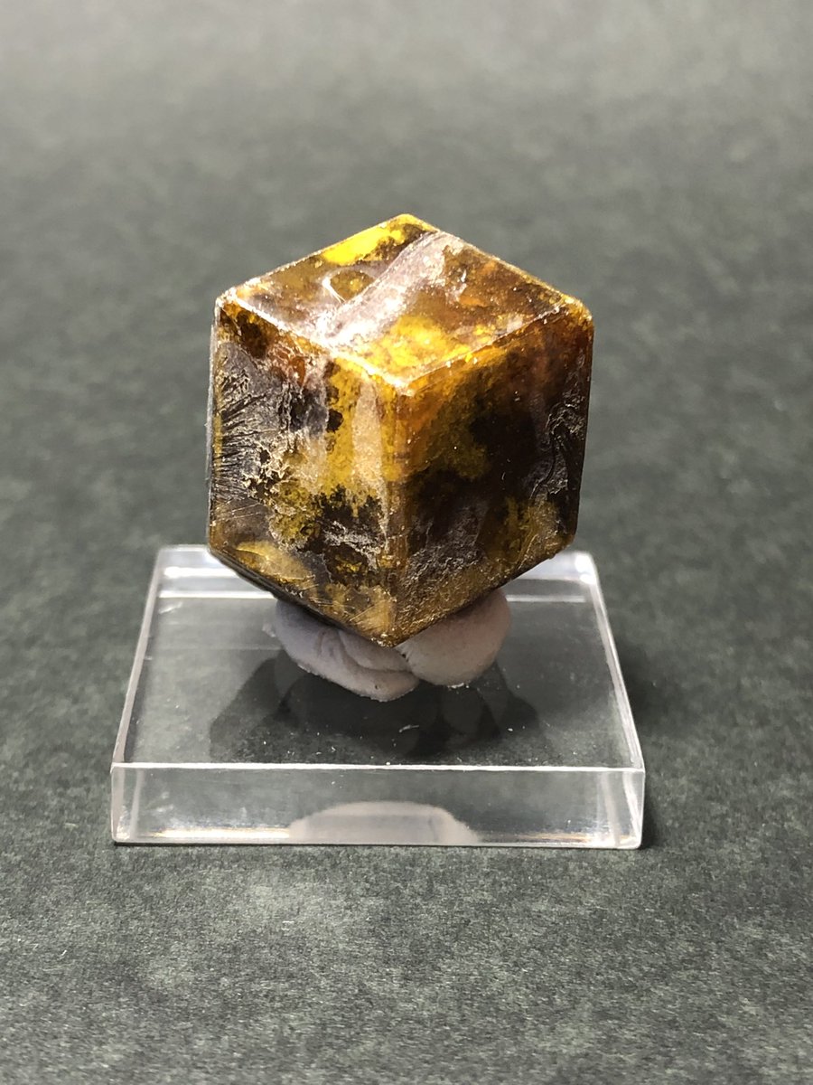 boutsu08's tweet image. 今回のミネラルショーは面白いカルサイトがたくさん目に入ったので、カルサイト祭りになりました。１枚目の画像は3つ全部カルサイトです！お昼も食べず歩き回った後は有蹄類と有袋類のステーキを食べて帰りました。
 #東京ミネラルショー2024