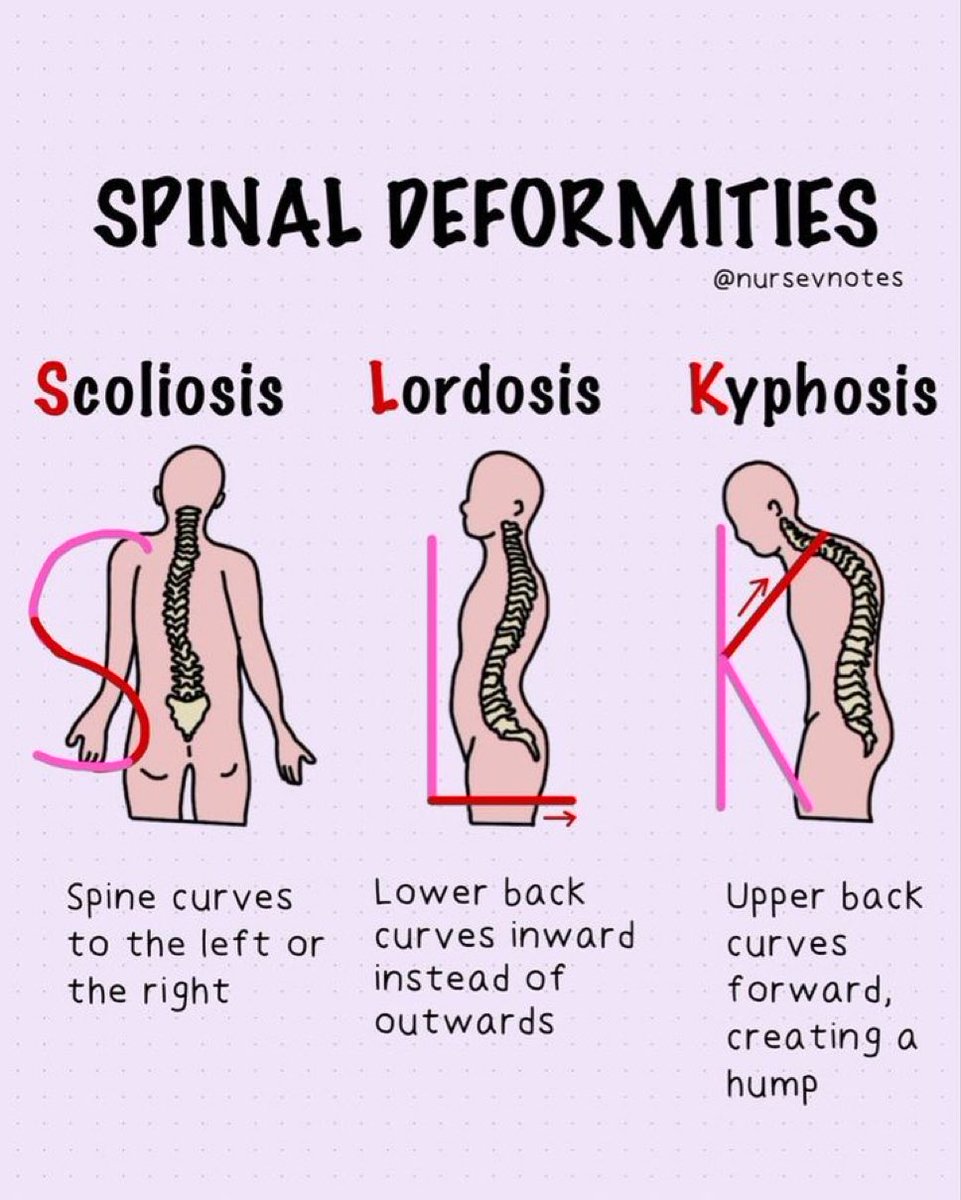 Dr Honey choudhary 🩺 (@doctors__squad) on Twitter photo 