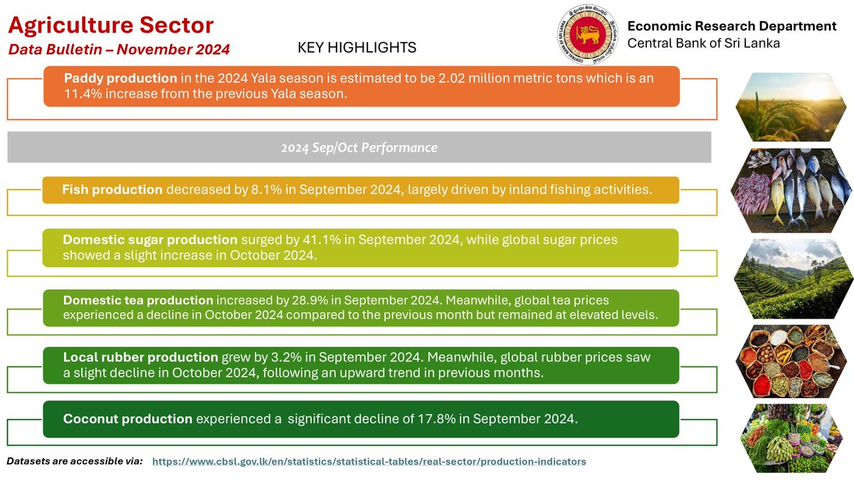 CBSL's tweet photo. Agriculture Data Bulletin for September 2024 is now available on CBSL website.

Access the below link for more information.
https://t.co/0NTMegc0ht

#CBSL #SriLankanEconomy #AgricultureSector #DataBulletin https://t.co/IYFNlV602R