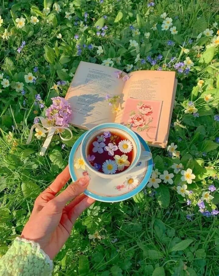 artindetails's tweet photo. — a meadow of dreams https://t.co/nroWBjpsZn