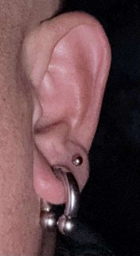 K_aKI_Ltd's tweet photo. I simplified my body piercing to my ears.

Anyone who rides a motorcycle should feel pain from the piercing in their ears when they take off their helmet.

I replaced everything with a barbell type.

#BodyPiercing
#Tragus
#Earlobe
#ボディピアス

#ゴマちゃん はダメだよ。 https://t.co/rAZ9kFVUpm