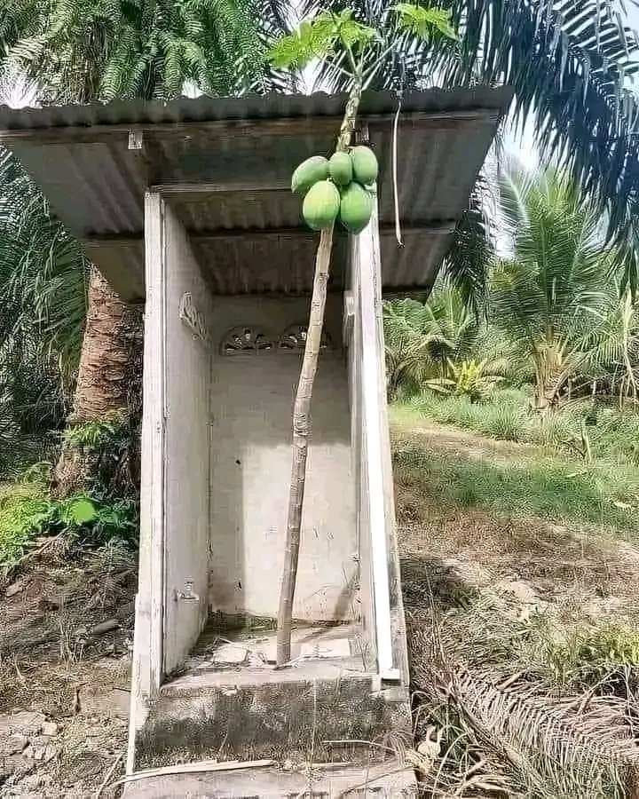 Mke wa Mtu💕 tweet media