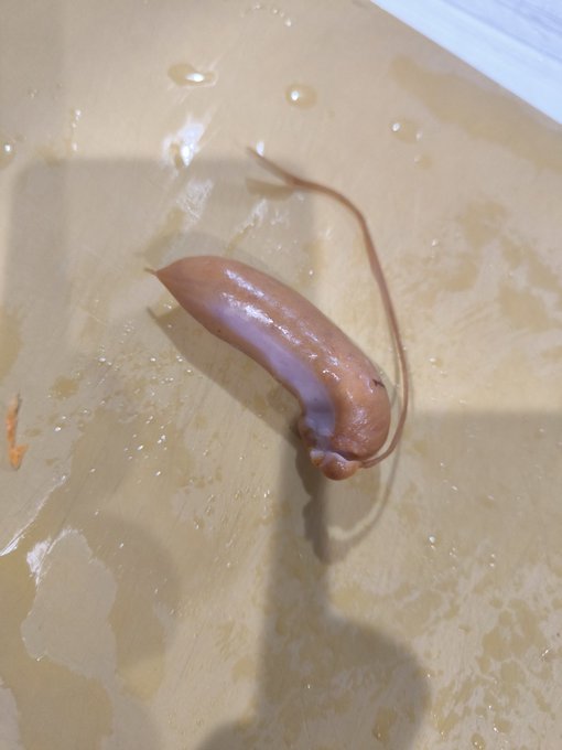 シャウエッセン紐付き?初めて見た 