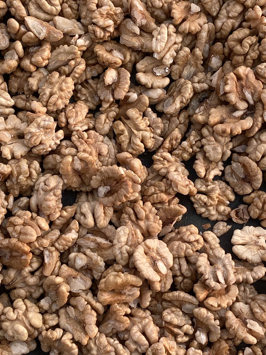 iqbalbhatt's tweet photo. #Walnutkernels https://t.co/GjYo9r2QR4