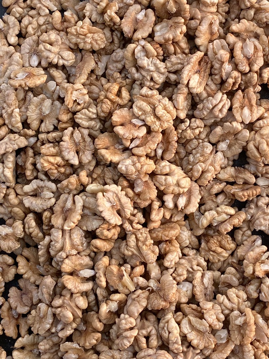 iqbalbhatt's tweet photo. #Walnutkernels https://t.co/GjYo9r2QR4