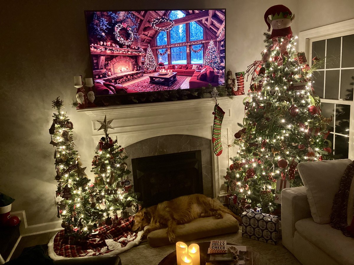 hibufu's tweet photo. ❤️🌲❤️🙏 https://t.co/HcF8A1HJ2Q