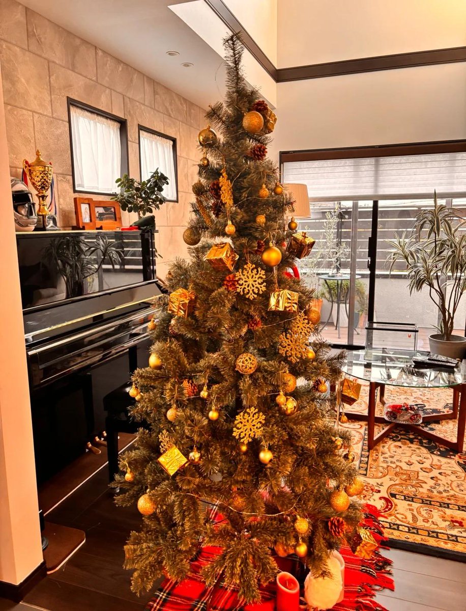 JoshLansky's tweet photo. 🎄この特別な時期に、大切な人たちと一緒に心温まるひとときを過ごしましょう。美しいクリスマスツリーが家族や友人を結びつける存在になりますように。🌟🎁
#メリークリスマス #クリスマスツリー https://t.co/FzO3K1ZCqe