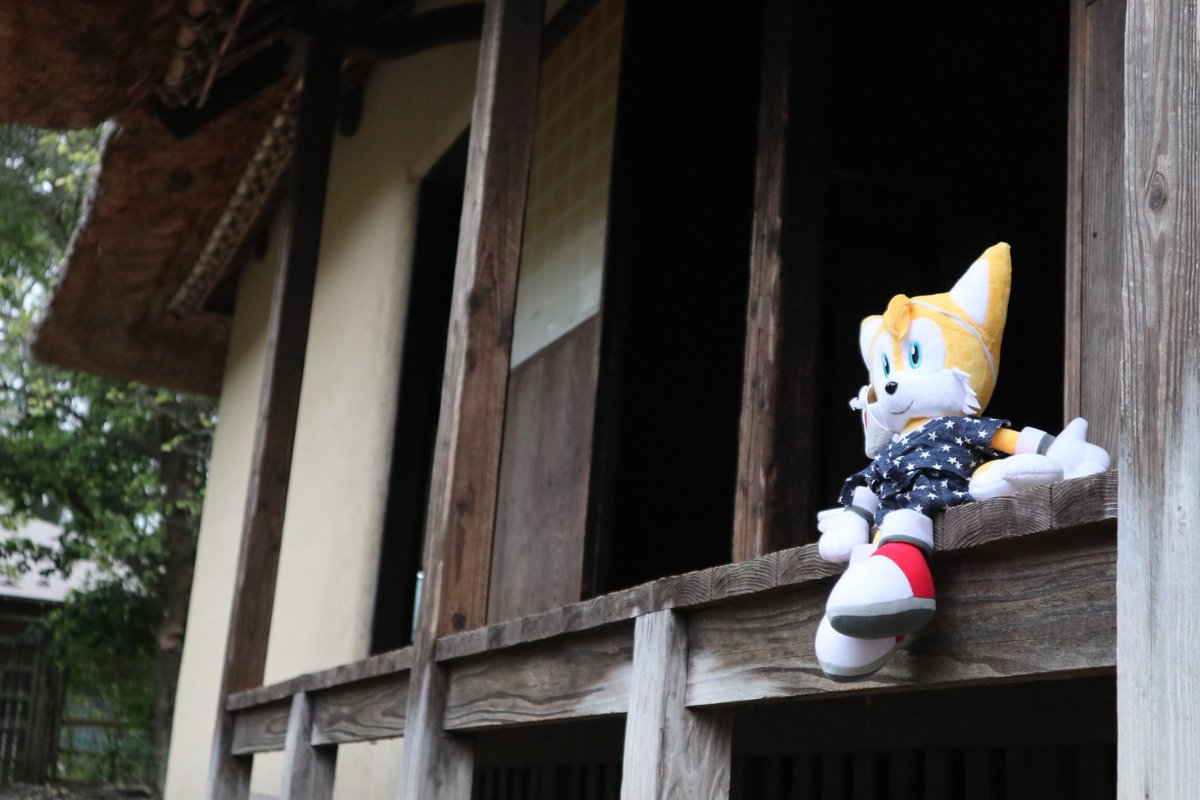 rackprisonhog's tweet photo. テイルス君の服作ったり
お外連れてったり
FF14沼ったり
VRChat沼ったり https://t.co/hcQoPe0b9e