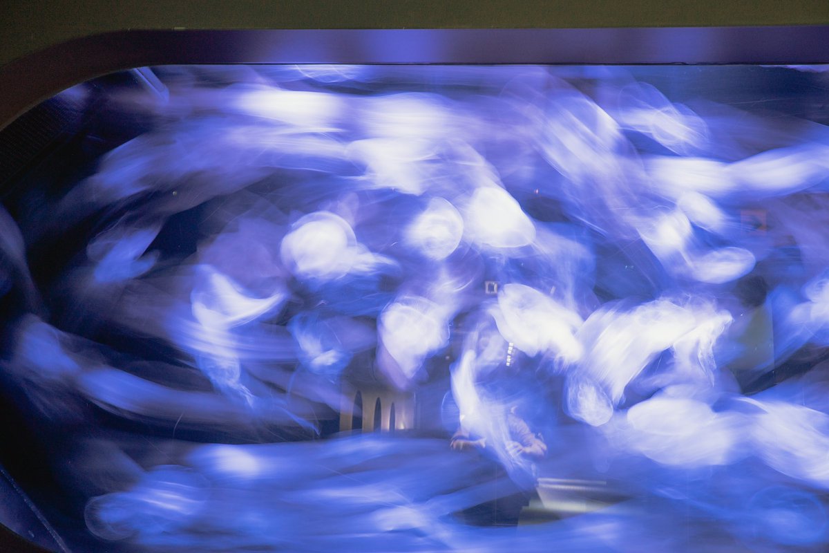 🪼🪼🪼

#カメラ仲間募集 #写真部 #sony #sonyα7ⅱ #photography#photojenic #写真好きな人と繋がりたい #カメラ好きな人と繋がりたい #사진 #사진스타그램 #일본 #旅行好きな人と繋がりたい  #キリトリセカイ #ファインダー越しの私の世界  #スナップ写真  #snapshot  #北海道