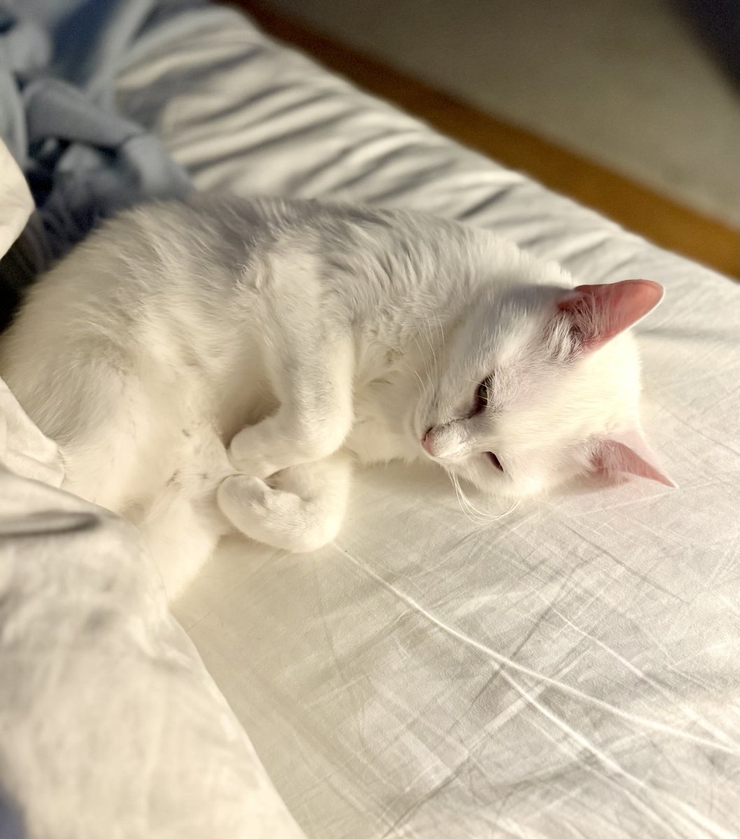 Malte Greisner tweet media