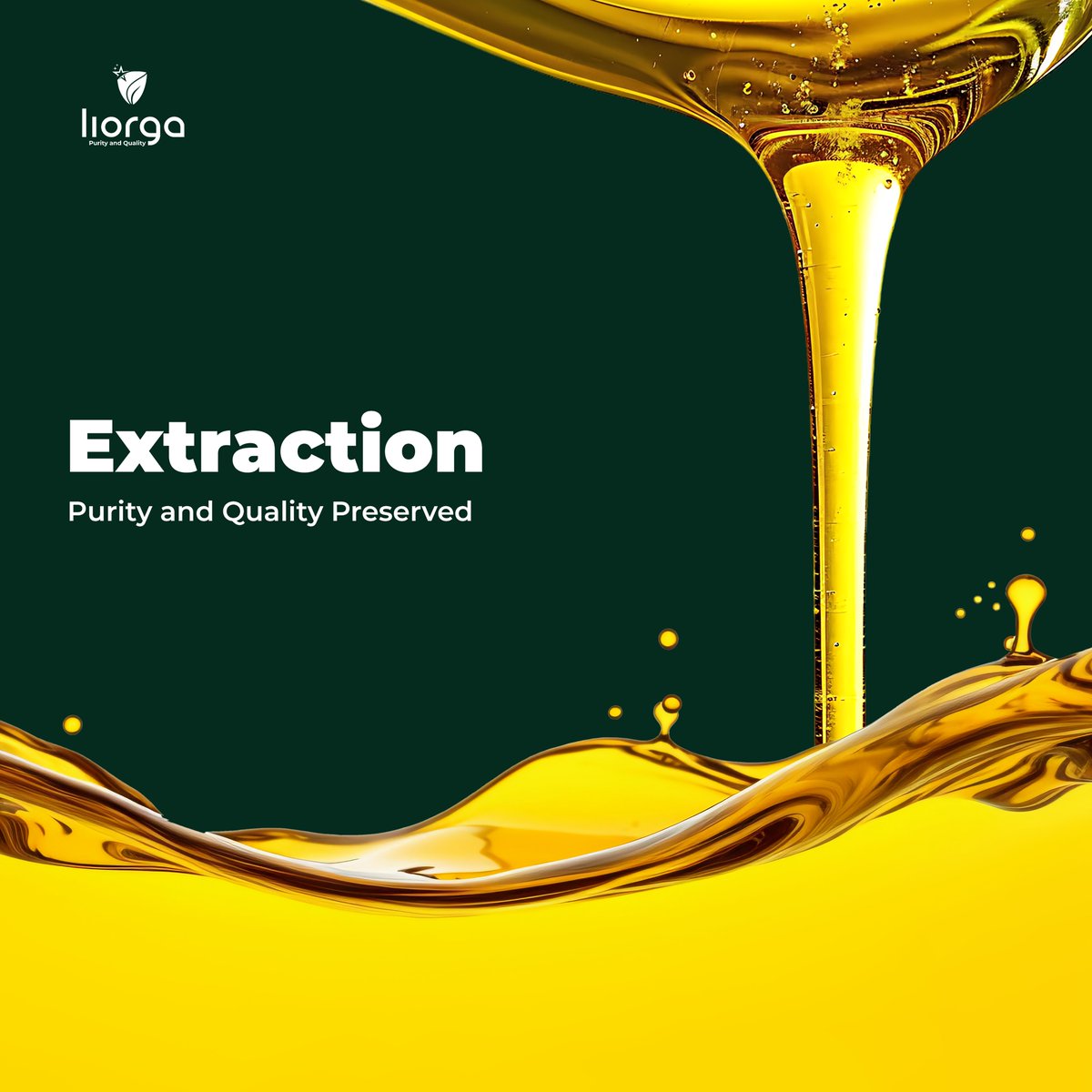 liorgaoil's tweet photo. Purity Perfected, Quality Preserved!
Our extraction process ensures every drop retains its natural purity and quality.
From nature to your kitchen, we promise nothing but quality.
#liorgacookingoil #lebruniagro #PurityAndQuality #NaturalGoodness #HealthyLiving #OilYouCanTrust https://t.co/FMqmBlJ9Wc