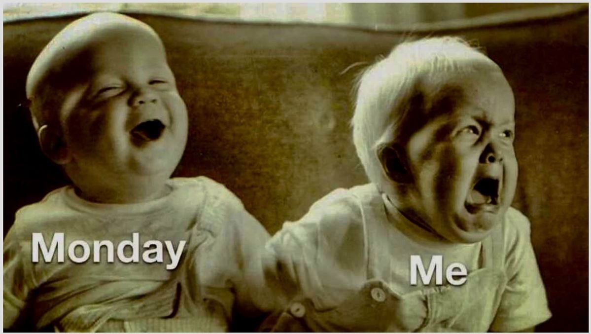 karrie_joy's tweet photo. Woke up before my 4:30 alarm again today, I think this is just the new me! Too bad the old me didn’t go to bed earlier last night! It is Monday so at least there is coffee to get me through it. All the coffee!! 💪🏻☕️💻😊
#5amcrew🏋🏼‍♀️
#nevermissamonday
#chooseyou
#choosehappy https://t.co/Fy811nll2s