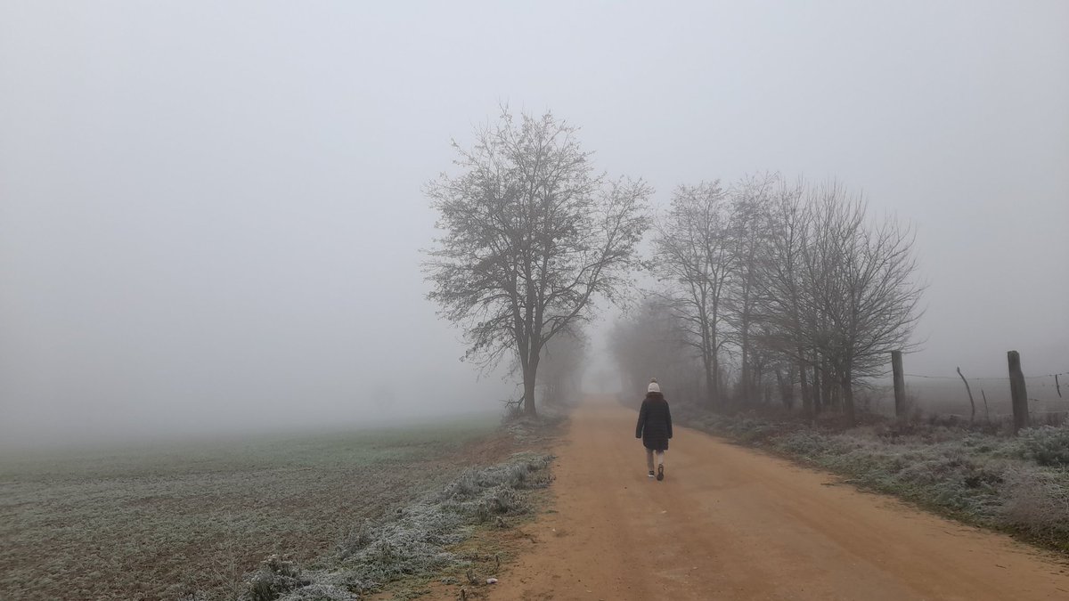 Paseo a -1 grado y densa niebla en Fuentesaúco , Zamora .<a href="/agomezmeteo_tve/">Andrés Gómez</a> <a href="/anamaria190977/">Ana María Herrero</a> <a href="/aquilatierratve/">Aquí la Tierra</a> <a href="/ElTiempo_tve/">El Tiempo en TVE</a> <a href="/ElTiempoA3/">El Tiempo de Antena 3</a> <a href="/TiempoCyLTV/">El Tiempo en CyL</a> <a href="/martinraul16/">Raúl Martín☀️⛈🚴🏼‍♂️🎄🌟</a> <a href="/meteosegovia/">Adrián Escobar</a> <a href="/tomeandres/">Andrés Tomé</a> <a href="/fcocachometeo/">Francisco Cacho</a> <a href="/lasextameteo/">La Sexta Meteo</a> <a href="/sibilafc/">Silvia Ferrer</a>