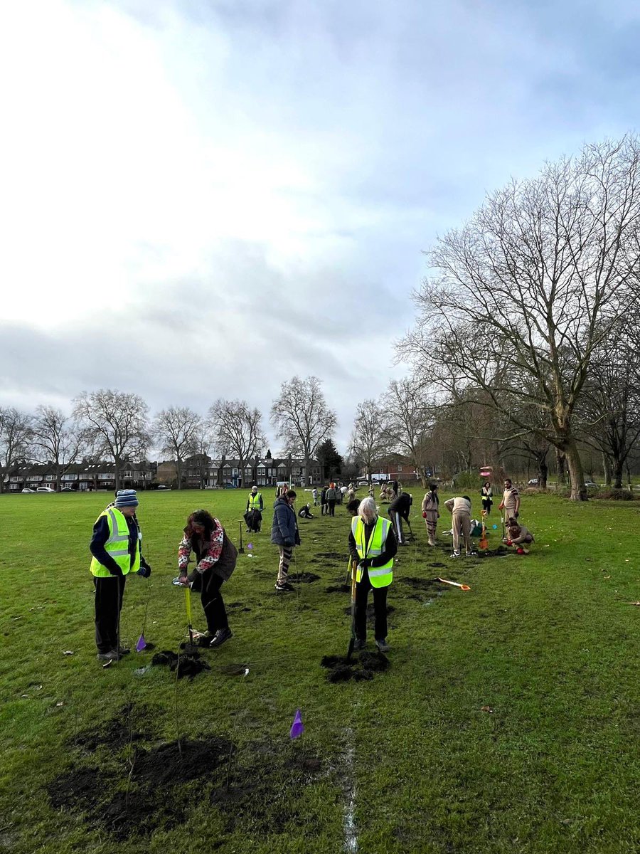 MillfieldsUG's tweet image. Fantastic team out planting a woodland strip and several trees in the Cricketfield, Millfields Park, yesterday.
Next session is on Fri at 10.00 and Sat at 10.30. Come and join in.
@TM_Hackney @hackneycouncil @SustainHackney