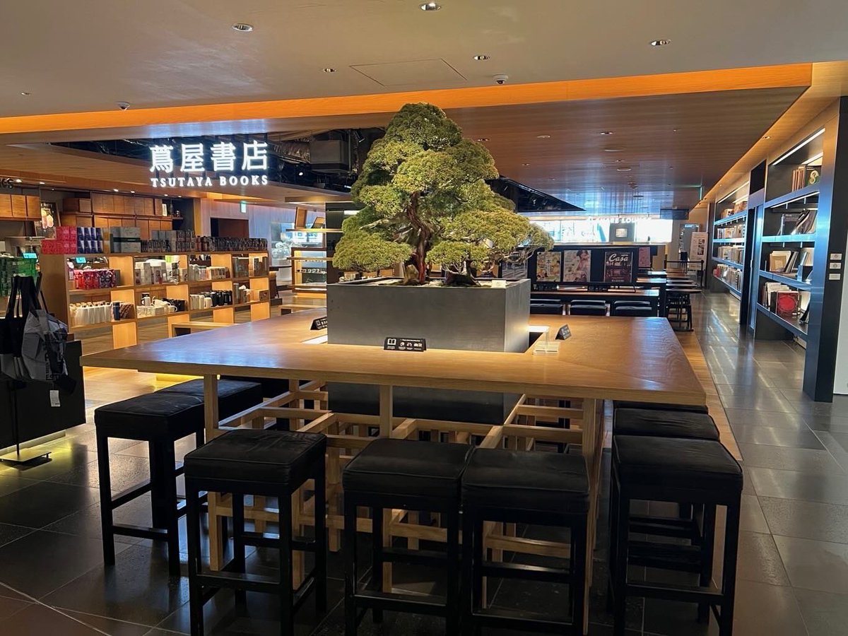 GT_jpculture's tweet photo. \販売中/
【盆栽】真柏 樹齢約200年
chinese juniper
#銀座蔦屋書店 #銀座 #蔦屋書店 #ギンザシックス #盆栽 #真柏 #シンパク #冬 #舎利 #捻転 #枝葉 #アート #見立て #雪 #白砂 #Ginza #GSIX #Bonsai #chinesejuniper #Simpaku #Winter #Shari #Twist #Art #snow https://t.co/W7ThJsujYp