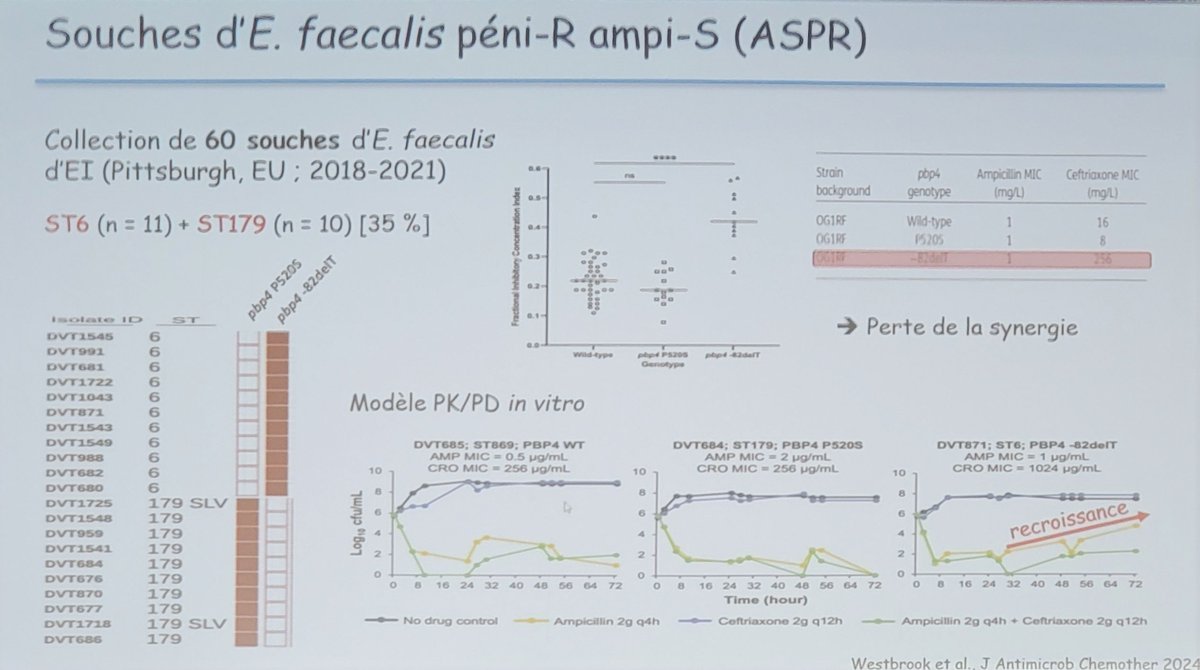 RéJIF (@rejif_) on Twitter photo Superbe overview sur l'historique de la combinaison d'antibiotiques pour traiter les infections à Entérocoques
Par <a href="/VCattoir/">Vincent Cattoir</a>
Attention aux ASPR ! 🚩
<a href="/SFPCOfficiel/">SFPC</a>
<a href="/ReJIF_/">RéJIF</a> <a href="/sfm_jm/">Section Des Jeunes Microbiologistes de la SFM</a>
@je_ppri0
@CAVECharlotte22
<a href="/elodie_matusik/">Elodie Matusik</a>
<a href="/mythikou/">Thymic</a> <a href="/charles_cazanav/">Charles.Cazanave</a>
<a href="/nathanpsmad/">Nathan Peiffer-Smadja</a>
#RICAI Superbe overview sur l'historique de la combinaison d'antibiotiques pour traiter les infections à Entérocoques
Par <a href="/VCattoir/">Vincent Cattoir</a>
Attention aux ASPR ! 🚩
<a href="/SFPCOfficiel/">SFPC</a>
<a href="/ReJIF_/">RéJIF</a> <a href="/sfm_jm/">Section Des Jeunes Microbiologistes de la SFM</a>
@je_ppri0
@CAVECharlotte22
<a href="/elodie_matusik/">Elodie Matusik</a>
<a href="/mythikou/">Thymic</a> <a href="/charles_cazanav/">Charles.Cazanave</a>
<a href="/nathanpsmad/">Nathan Peiffer-Smadja</a>
#RICAI