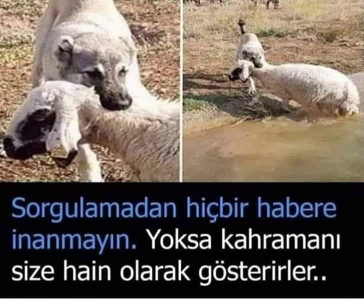 Platform15Tem's tweet photo. #15Temmuz https://t.co/oaThqBA0Sw