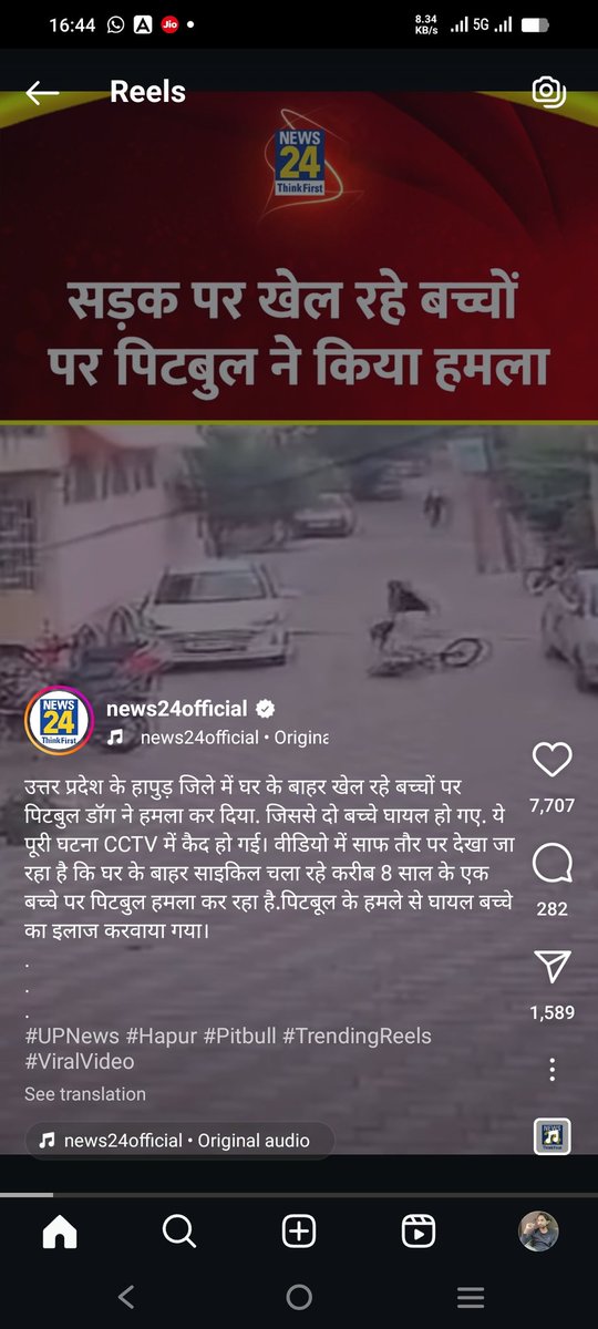 dipeshgupta83's tweet photo. ���िटबुल कुत्ता पर प्रतिबंध होना चाहिए। भारत सरकार कोई भी कानून नहीं बना पाई, पता नहीं कितने लोग पिटबुल क�� शिकार हो चुके https://t.co/MvppA09N7E