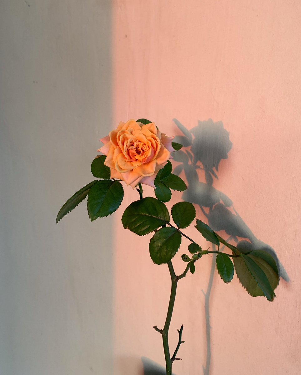 warm, like a gentle hug 🧡