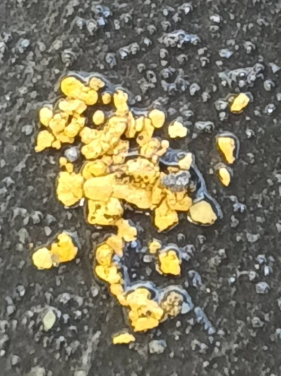 今日は師匠と堀納めに日光浴川に行ってまいりました。天気もよく暖かい一日で４時間弱でしたが自分的には満足な一日でした。来年は今年の倍堀に行きたいと思います。