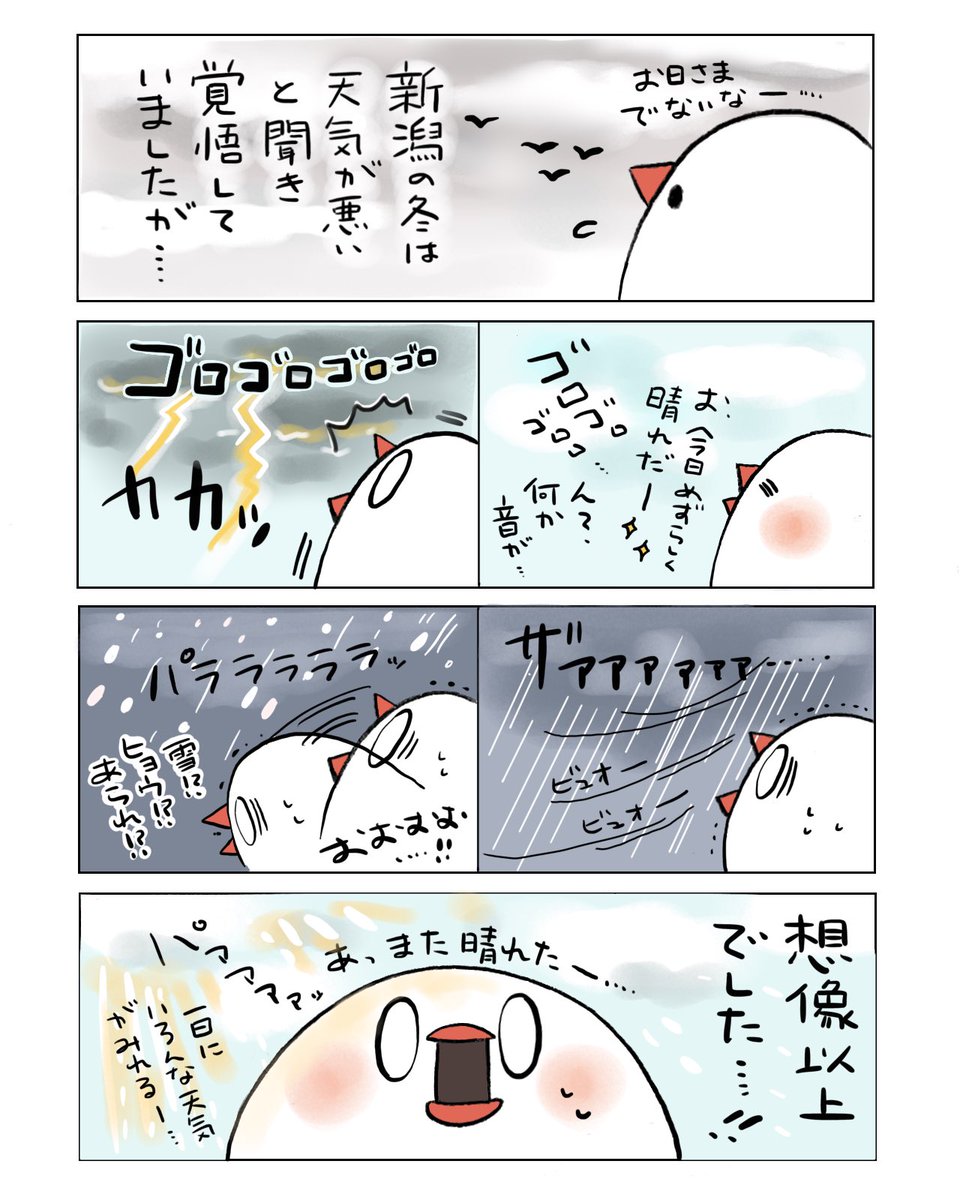 不定期佐渡日記⑩
(都合により人間の姿をぶんちょで描かせて頂いております🙇‍♂️)

佐渡島に移住して初めての冬がやってきました。 
