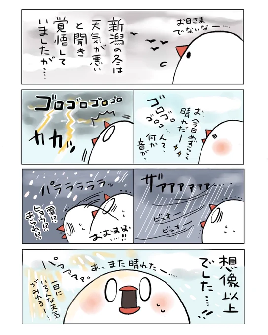 不定期佐渡日記⑩
(都合により人間の姿をぶんちょで描かせて頂いております🙇‍♂️)

佐渡島に移住して初めての冬がやってきました。 
