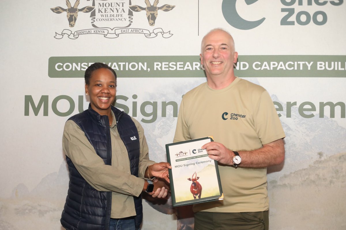 MKWC_KE's tweet photo. Big news!

Mount Kenya Wildlife Conservancy &amp; Chester Zoo have joined forces to enhance the #conservation of the critically endangered Mountain Bongo.🦌

The Memorandum Of Understanding signed today focuses on research, technology application, knowledge transfer.

 #MountainBongo https://t.co/WWqh3g9wos