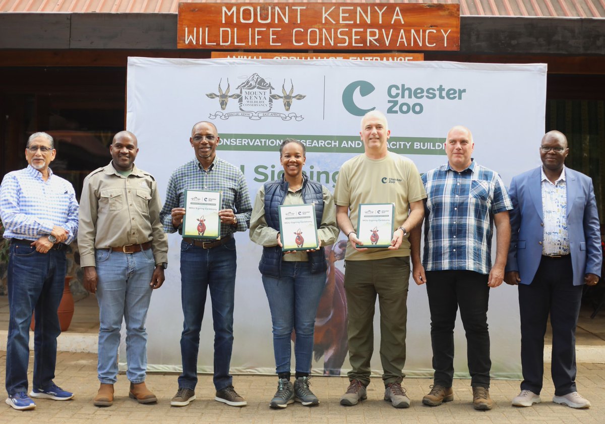 MKWC_KE's tweet photo. Big news!

Mount Kenya Wildlife Conservancy &amp; Chester Zoo have joined forces to enhance the #conservation of the critically endangered Mountain Bongo.🦌

The Memorandum Of Understanding signed today focuses on research, technology application, knowledge transfer.

 #MountainBongo https://t.co/WWqh3g9wos