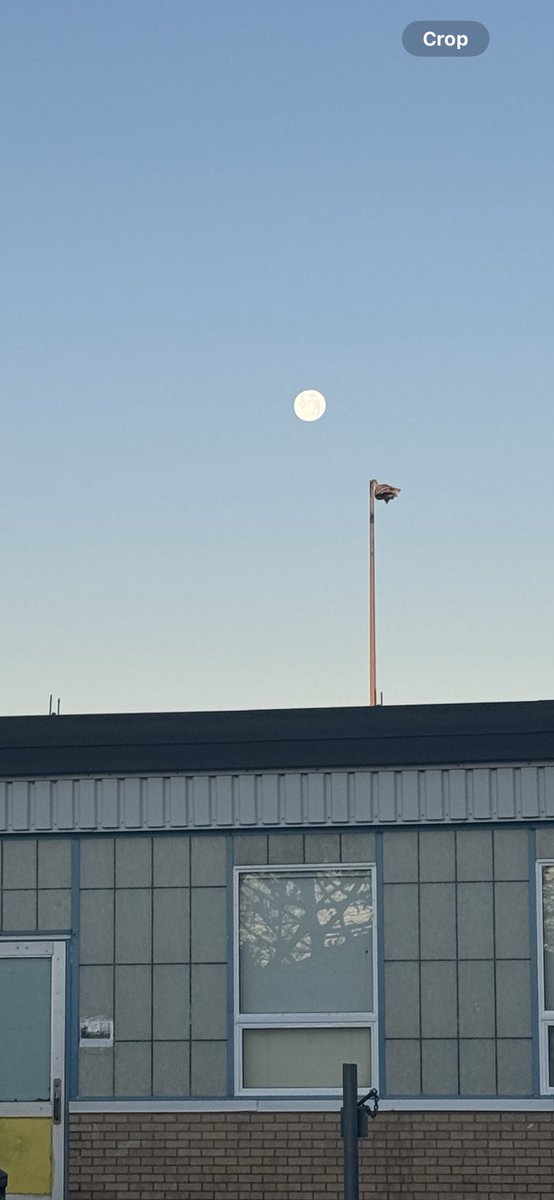 Good luck this week teacher friends!:) #fullmoon 🌕