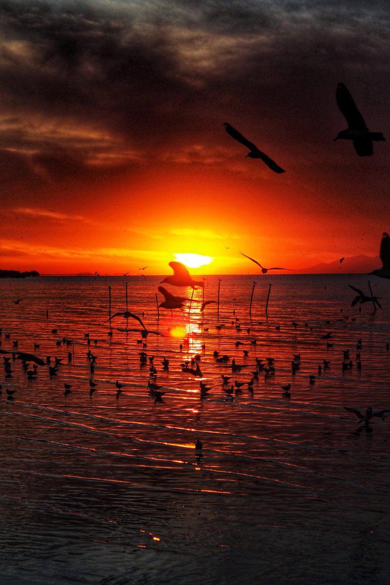logan20208's tweet photo. วิบๆวับๆ https://t.co/x0FFzLjXVQ
