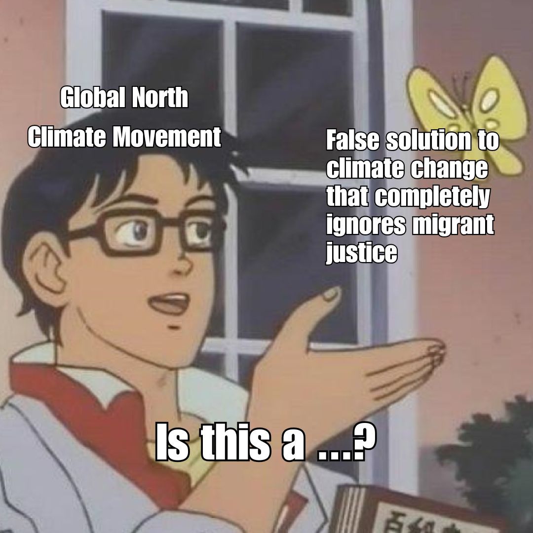 Truth on Borders tweet media
