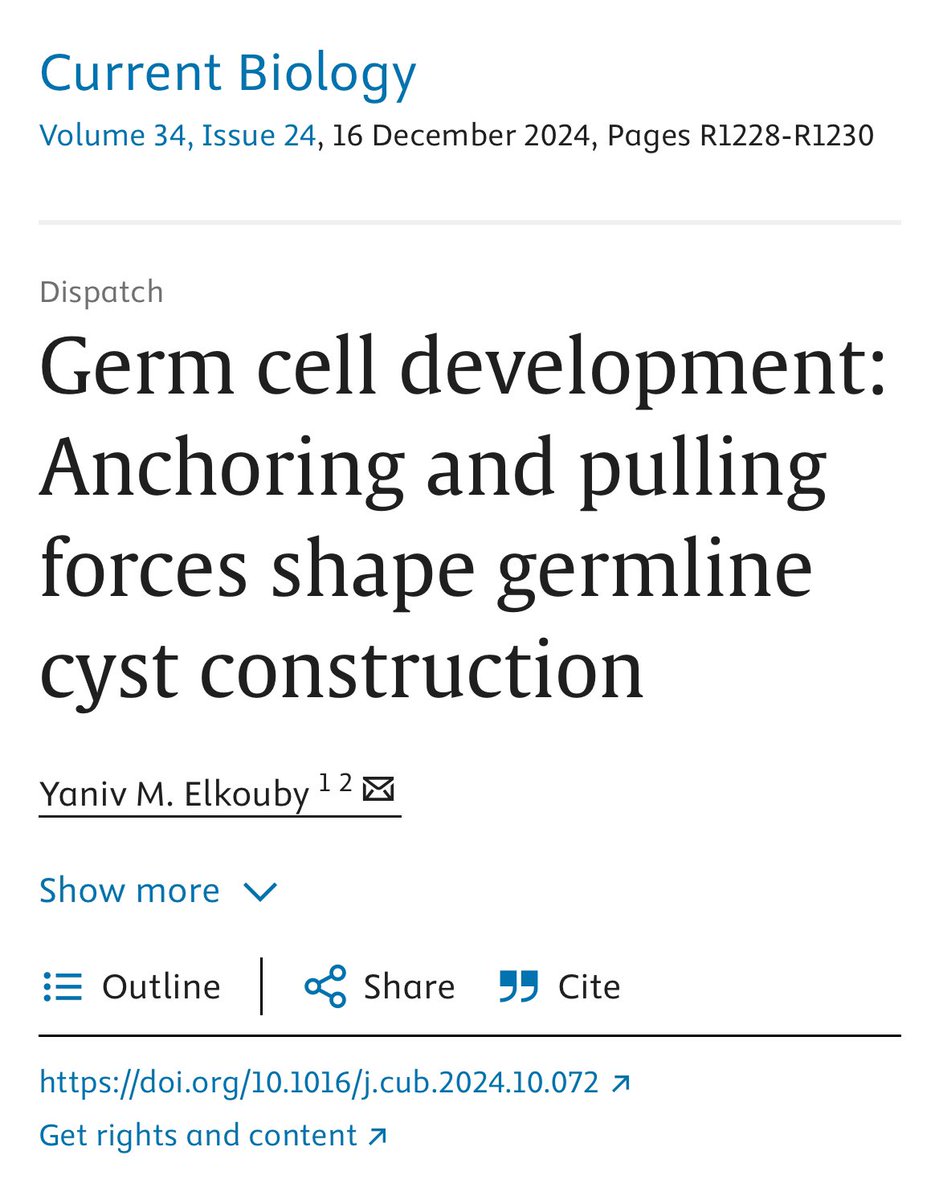 Yaniv Elkouby (@yanivelkouby) on Twitter photo An intriguing mechanism of germline cyst formation through innovative live imaging in fetal mice gonads, and computational modeling.
Check out my dispatch in <a href="/CurrentBiology/">Current Biology</a> on this beautiful work.
kwnsfk27.r.eu-west-1.awstrack.me/L0/https:%2F%2… An intriguing mechanism of germline cyst formation through innovative live imaging in fetal mice gonads, and computational modeling.
Check out my dispatch in <a href="/CurrentBiology/">Current Biology</a> on this beautiful work.
kwnsfk27.r.eu-west-1.awstrack.me/L0/https:%2F%2…