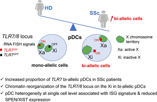LabWaggoner's tweet photo. TLR7 and TLR8 escape X-inactivation in pDCs of patients with systemic sclerosis due to decreased expression of XCI machinery, increasing pDC subclusters with high IFN-I signature @JExpMed @CharlesGuery Barrat
https://t.co/cjCahDGTXi https://t.co/TNqCdeOMJZ