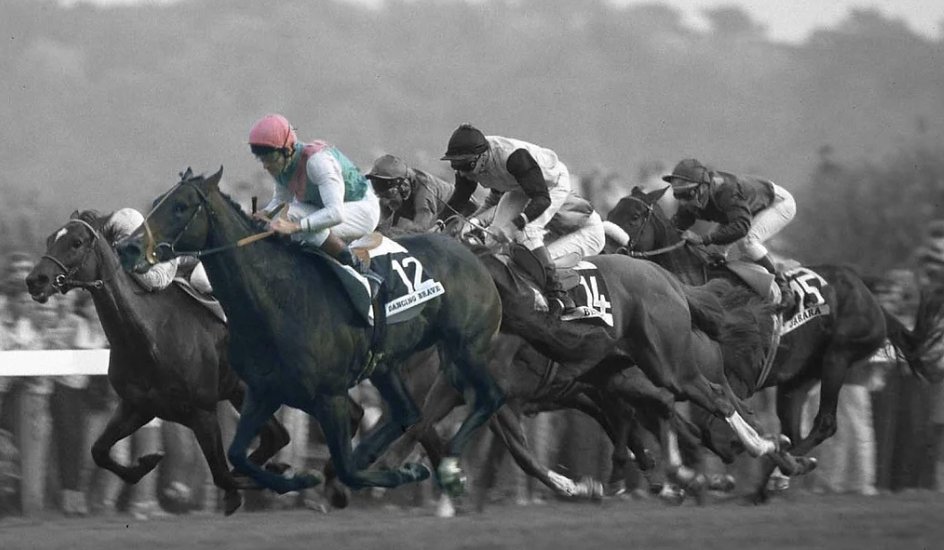 USASteeplechase's tweet photo. Give me your favorite superstar from each country!
🇺🇸 - Secratraiat
🇮🇪 - Dawn Run
🇯🇵 - Equinox
🇦🇺 - Black Caviar
🇫🇷- Zarkava
🇬🇧- Dancing Brave
Share the love of horse racing with a retweet and a follow 🙌
#WorldSuperstars https://t.co/J8Rkb09lHk