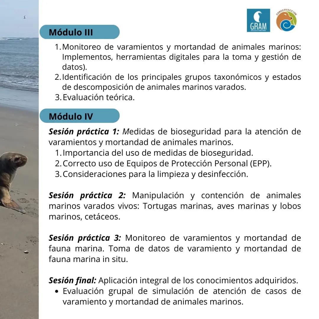 conservaccionpe's tweet photo. #cursos2025 | Curso Teórico-Práctico: 
Monitoreo y respuesta ante varamientos y mortandad de fauna marina.

Inscríbete ahora en el enlace ➡ https://t.co/Nf4wdWpSR0

Las clases virtuales se llevarán a cabo los días 9 y 10, y la presencial el 11 de enero del 2025. https://t.co/hcT2cu6AGo